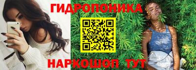 шишки Бузулук