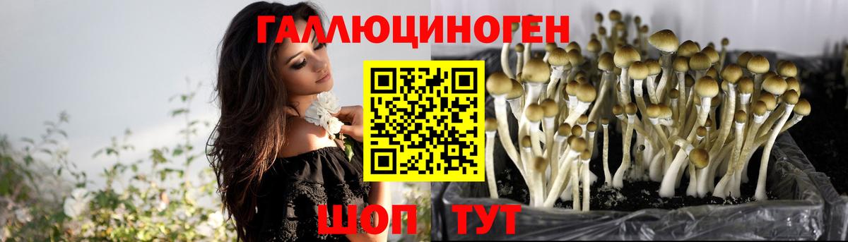 Нягань  Галлюциногенные грибы прущие грибы  Вход с VPN 